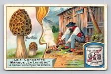 Moreles Morilles Mushroom Marque La Laitiere Lait Concentre P135