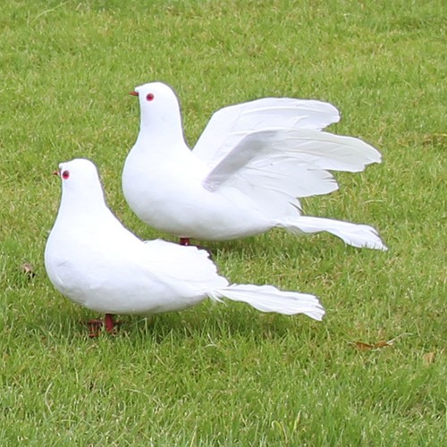 Pcs oiseau decoration - , 2