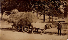 France, Homme et sa charrette
