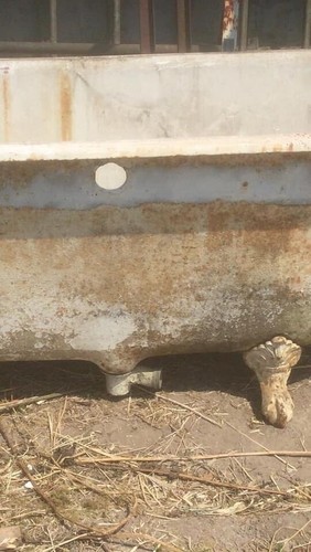 Baignoire pattes lion - baignoire, de