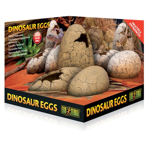 Exo terra oeufs dinosaure - terra,
