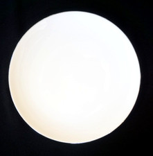 Beautiful Wedgwood Formal Platinum Dinner Plate