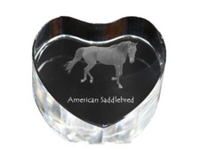 Cheval de selle américain