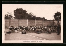 Old postcard Combreux, Le Chenil 