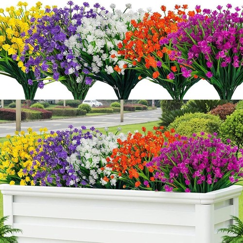 Fleurs camélia - fleurs, de