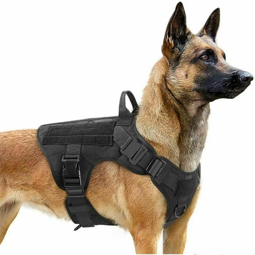 Harnais veste tactique chien - harnais,