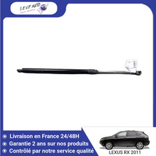 🇫🇷 VERIN DROIT HAYON