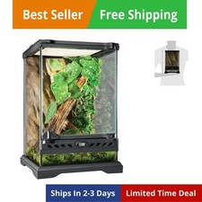 Glass Natural Terrarium Kit