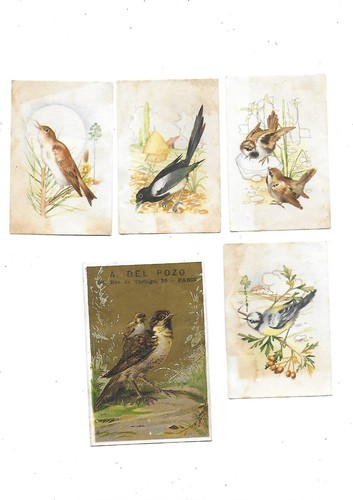 Anciens chromos images - ,