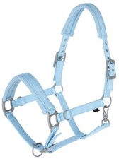 Licol Covalliero, édition