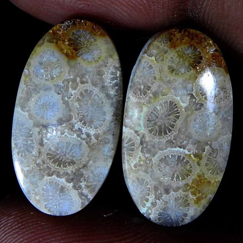 Paire ovale cabochon pierre