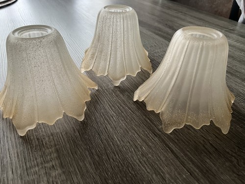 Tulipe globe verre - tulipe,