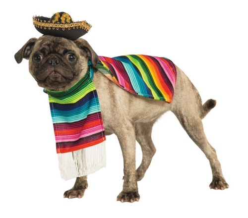 Rubies mexicain serape - rubies,