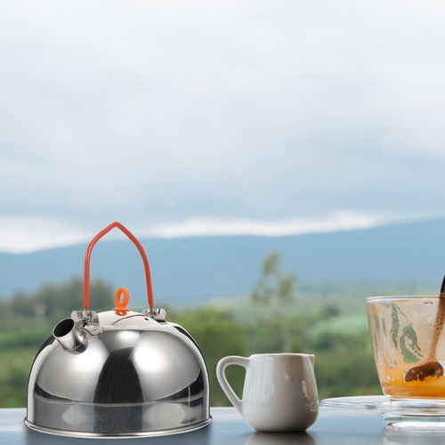 Bouilloire inox bouilloires - bouilloire,
