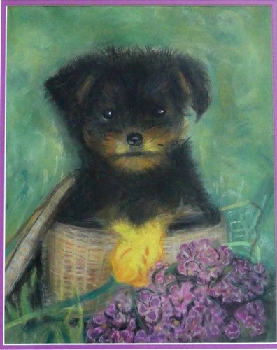 Pastel tableau animal petit - animal,