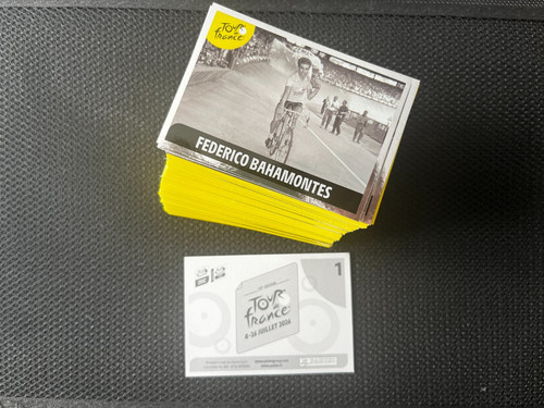 Stickers vignettes panini - stickers,