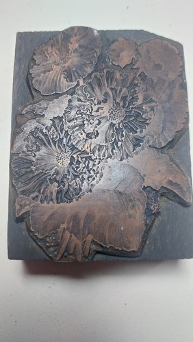 Plaque gravure botanique - plaque, de