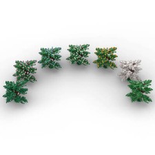 ZITIANYOUBUILD Dogwood Tree