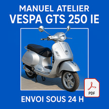 Manuel Atelier Vespa GTS 250