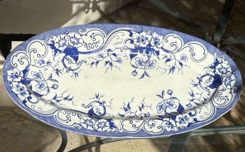 Grand plat poisson en - grand,