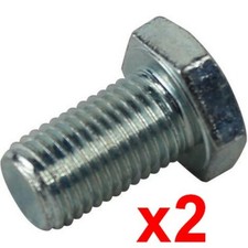 1134-6311-01 Vis de lame (x2)