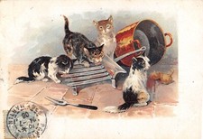 FANCY POSTCARD REPRESENTING 4 CATS / KITCHEN UTENSILS / CAT / ILLUSTRATOR /