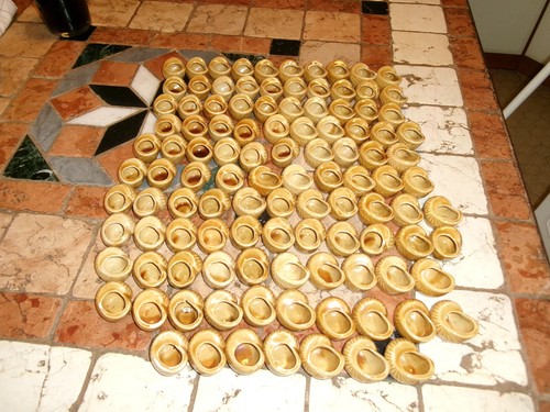 Lot 100 godets coquilles - godets,