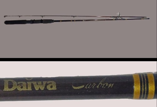 Canne pêche daiwa - canne,