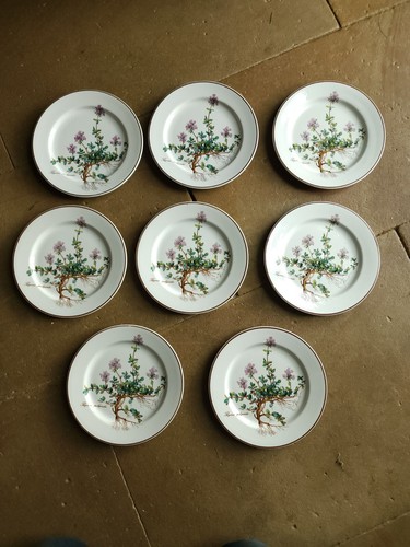 Botanica villeroy boch 8 - boch,
