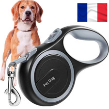 Laisse pour chien rétractable