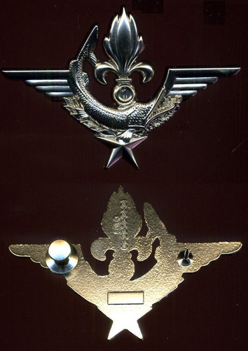 Legion genie 1 reg fos - legion,