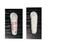 Fève ancienne 1ère époque