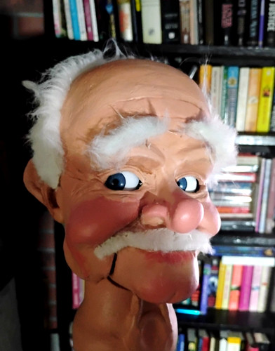 Pro style ventriloquist - style, dummy