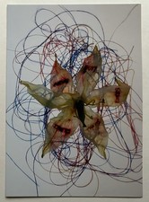 ANNE & PATRICK POIRIER  -