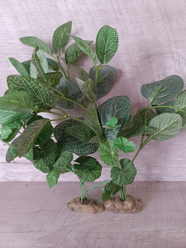 Lot plantes en - lot, de