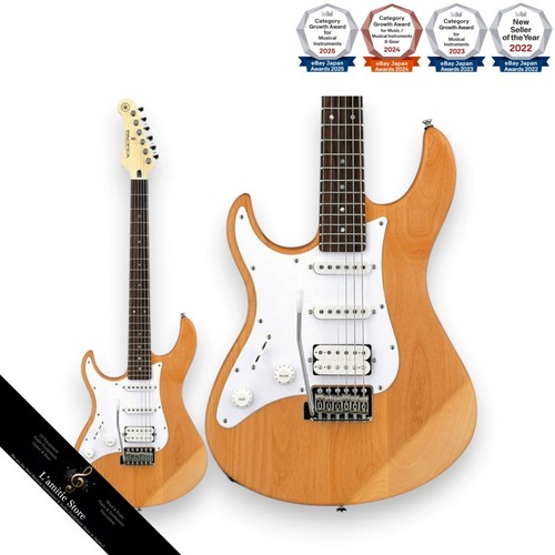 Guitare électrique gauche