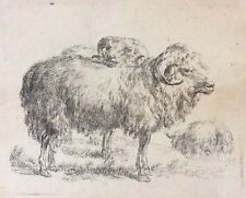 Deux Béliers un mouton