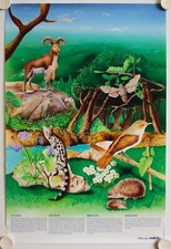Poster animals flora Ancolie - genette - sheep - nightingale