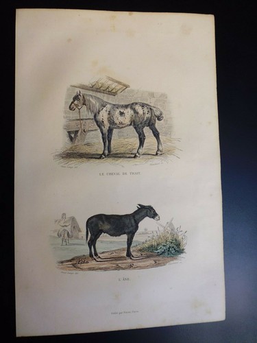 Gravure couleur