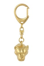 American Staffordshire