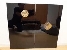 Petit écran pliant japonais Byobu Tigar panneau noir traditionnel vintage