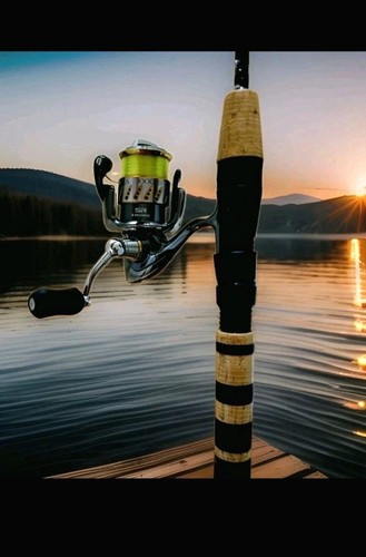 Loomis glx tsr 791 fast - glx, tsr-791