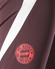  Bayern Munchen Adidas