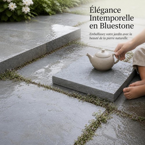 Dalle pierre bleue pour - de,