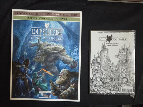 Jeu rôle loup solitaire - jeu, de