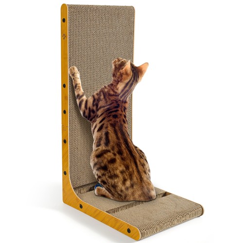 Griffoir pour chat - pour,