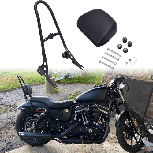 Sissy bar passenger backrest - bar,
