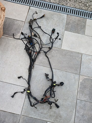 Complete electrical harness