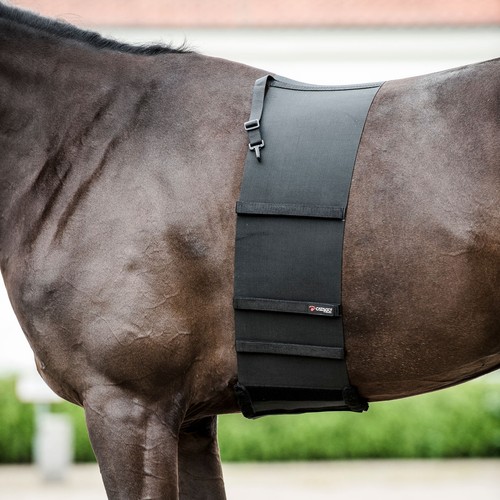 Catago body shield - catago,