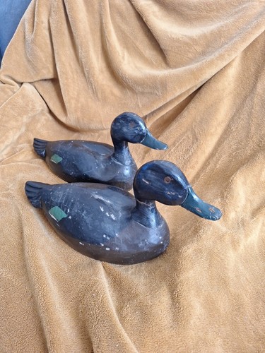 Ancien lot appelants - , bois